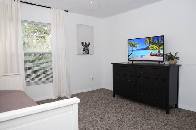 bedroom featuring carpet flooring