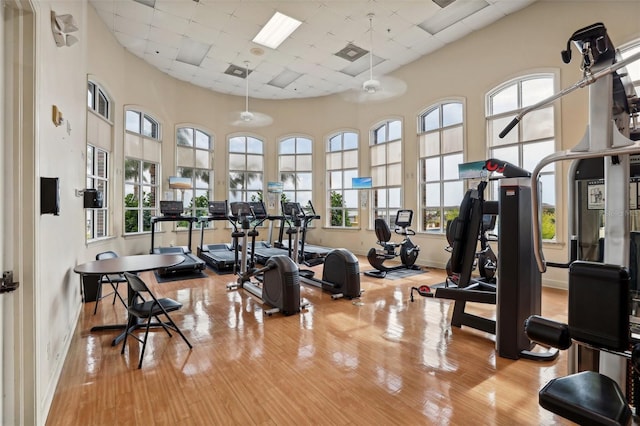 exercise room featuring light wood-type flooring, a drop ceiling, a high ceiling, and a wealth of natural light