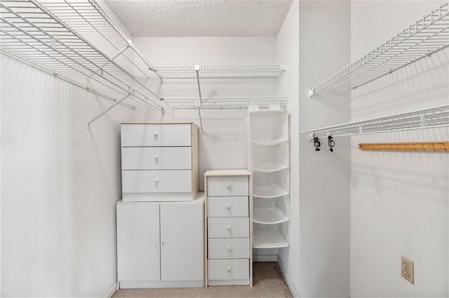 walk in closet with light colored carpet