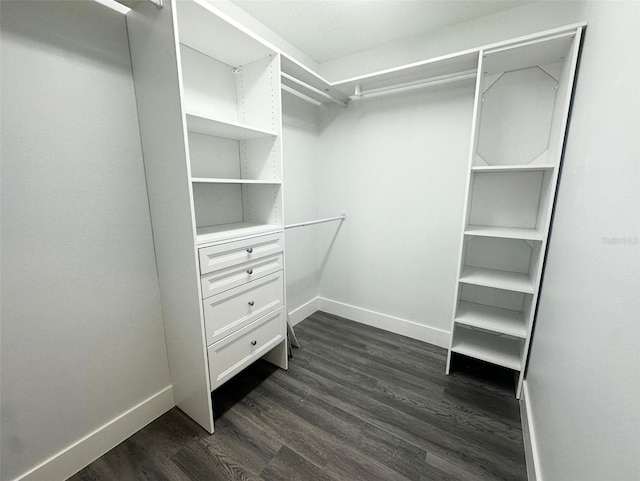 walk in closet featuring dark hardwood / wood-style floors