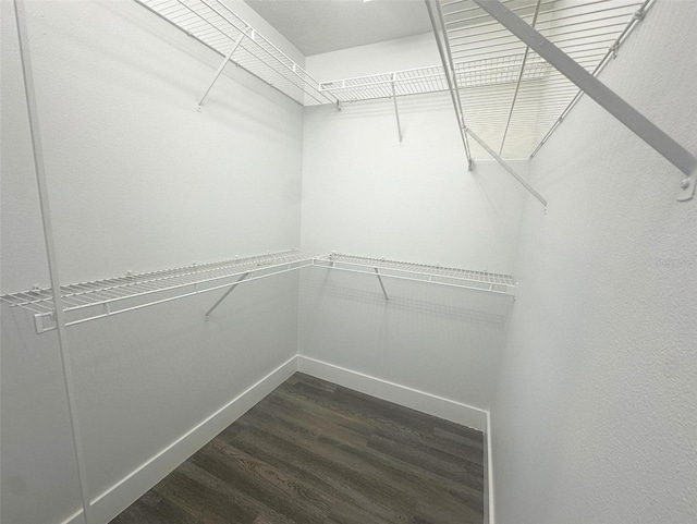 walk in closet with dark hardwood / wood-style flooring