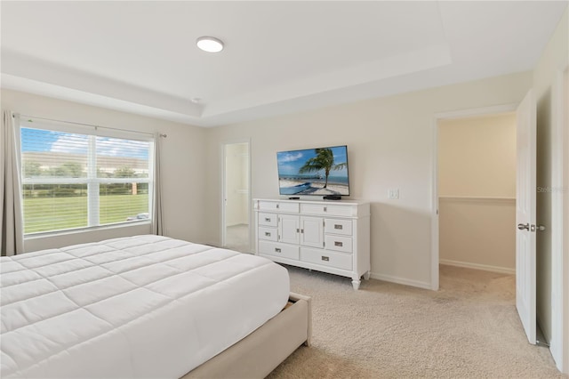 bedroom featuring light carpet and a raised ceiling