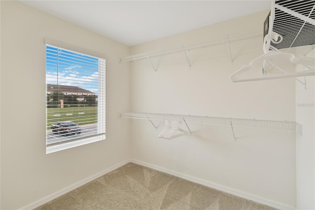 spacious closet featuring carpet floors