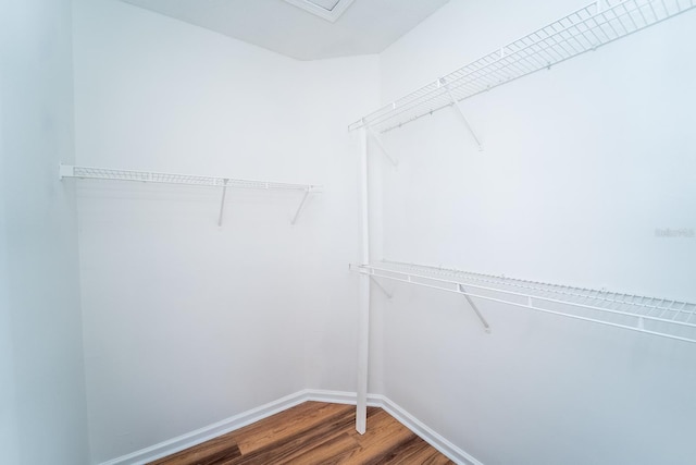 walk in closet featuring wood-type flooring