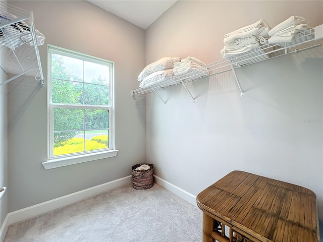 walk in closet featuring carpet