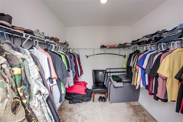 walk in closet with carpet floors