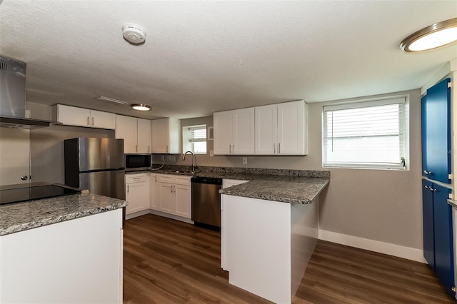 kitchen with exhaust hood, white cabinetry, stainless steel appliances, plenty of natural light, and sink