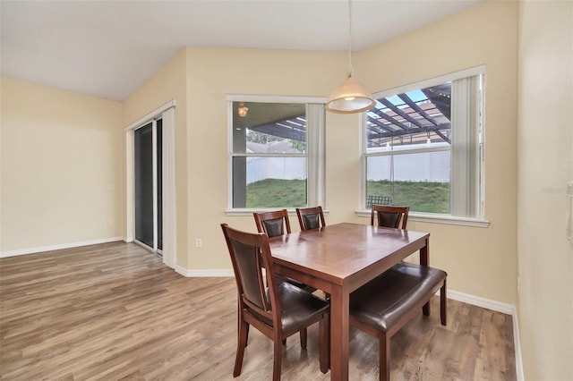 dining room with hardwood / wood-style flooring