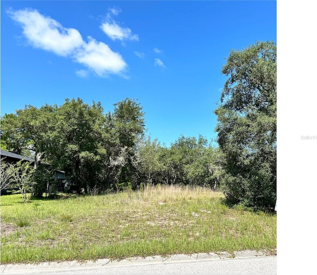 18002 Oggie Ln, Hudson FL, 34667 land for sale