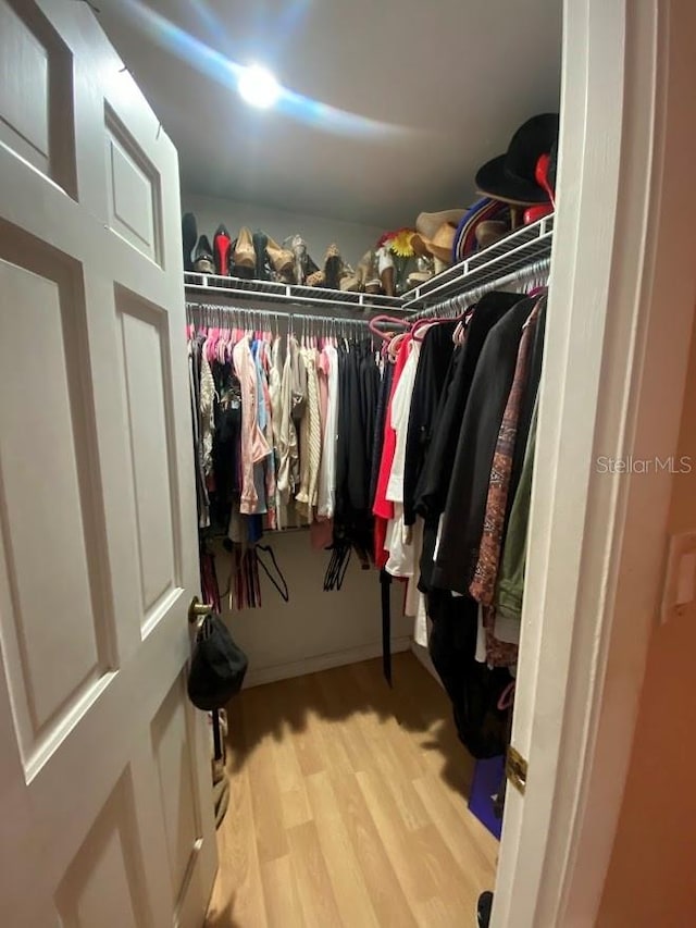 spacious closet featuring light hardwood / wood-style floors