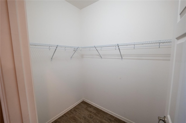 walk in closet featuring dark hardwood / wood-style flooring