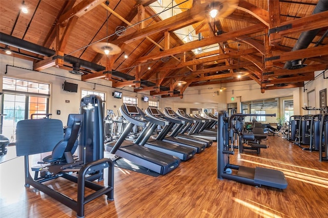 exercise room with wood-type flooring, high vaulted ceiling, and a wealth of natural light