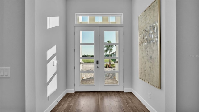 1529 Rio Vista Ter, Parrish, FL 34219 - entryway featuring baseboards, dark wood-style flooring, and french doors