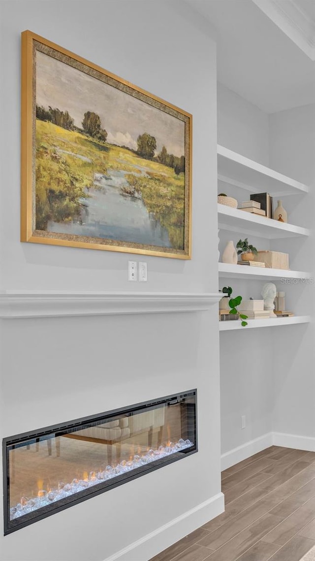 1529 Rio Vista Ter, Parrish, FL 34219 - details with baseboards, a glass covered fireplace, and wood finished floors