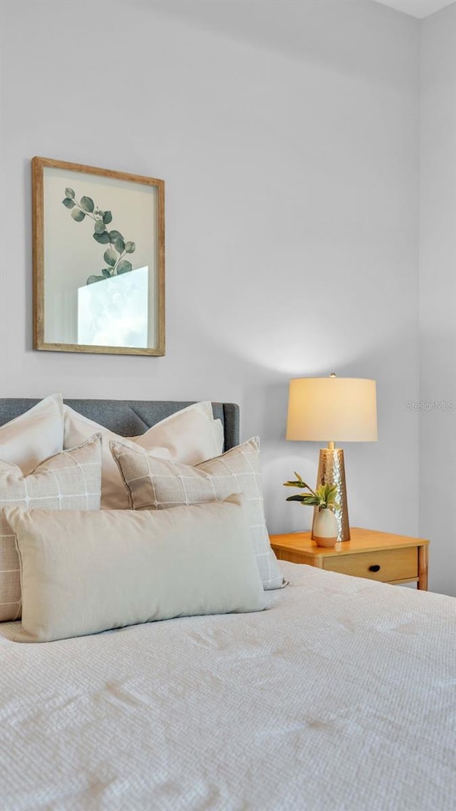 1529 Rio Vista Ter, Parrish, FL 34219 - view of bedroom