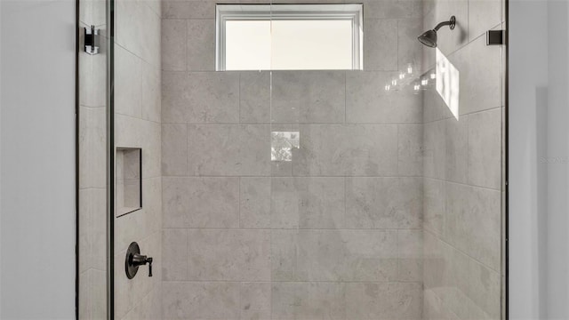 1529 Rio Vista Ter, Parrish, FL 34219 - interior details with a shower stall