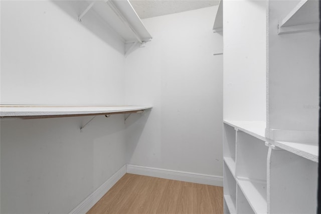 spacious closet featuring light hardwood / wood-style flooring