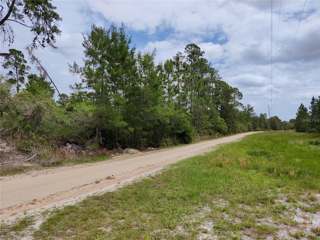 Buck Run Drive Lots-10,33,& 39, Paisley FL, 32767 land for sale