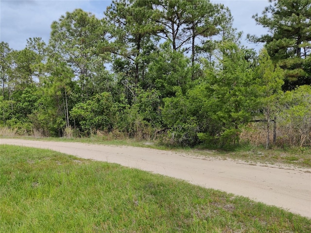 Listing photo 3 for Buck Run Drive Lots-10,33,& 39, Paisley FL 32767