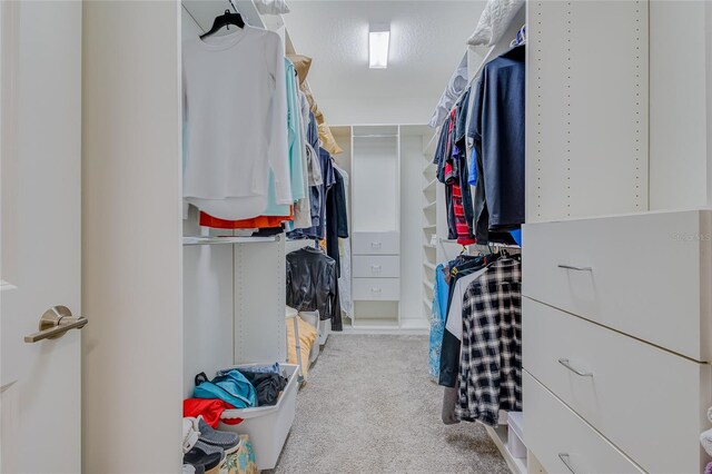 spacious closet featuring light carpet