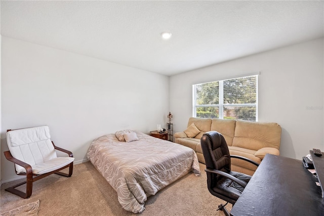 bedroom with light colored carpet