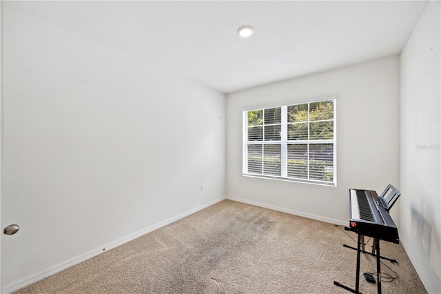 interior space with light colored carpet