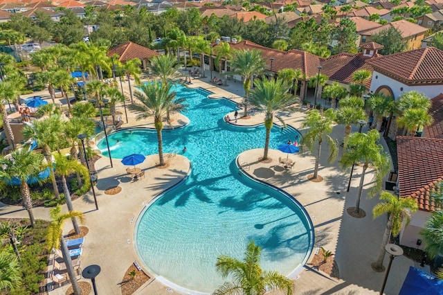 view of pool featuring a patio area