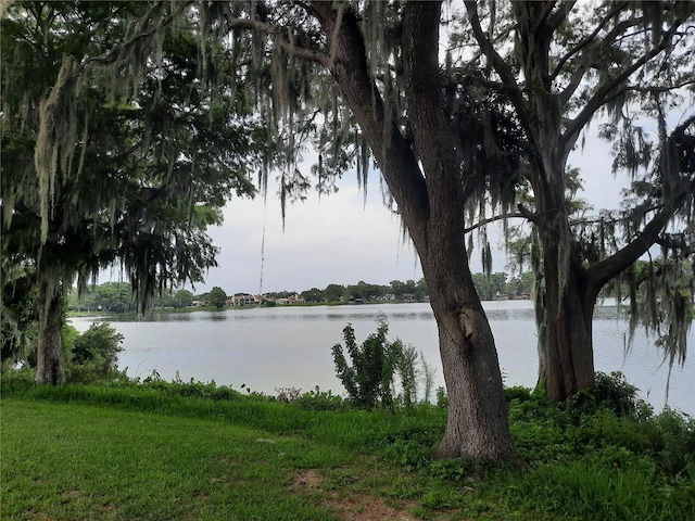 view of water feature