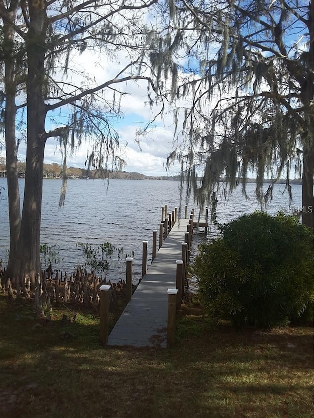 dock area featuring a water view