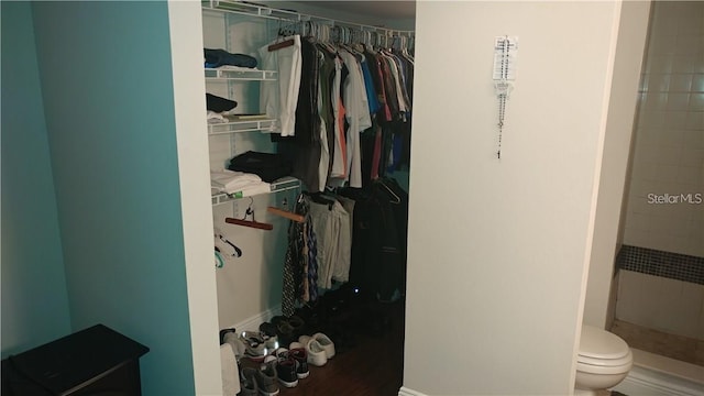 view of closet