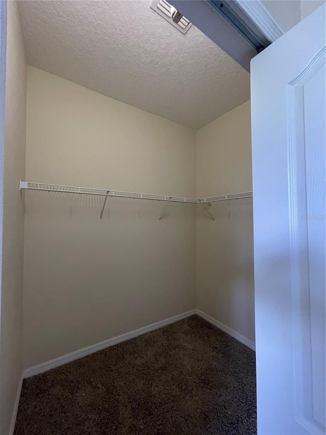 spacious closet with carpet floors