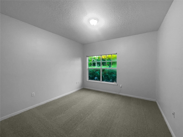 spare room featuring carpet and a textured ceiling