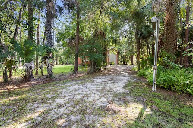 view of yard with a garage and driveway