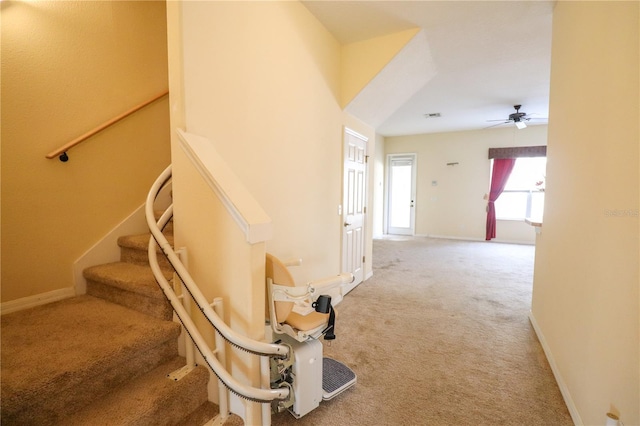 stairs featuring carpet flooring and ceiling fan