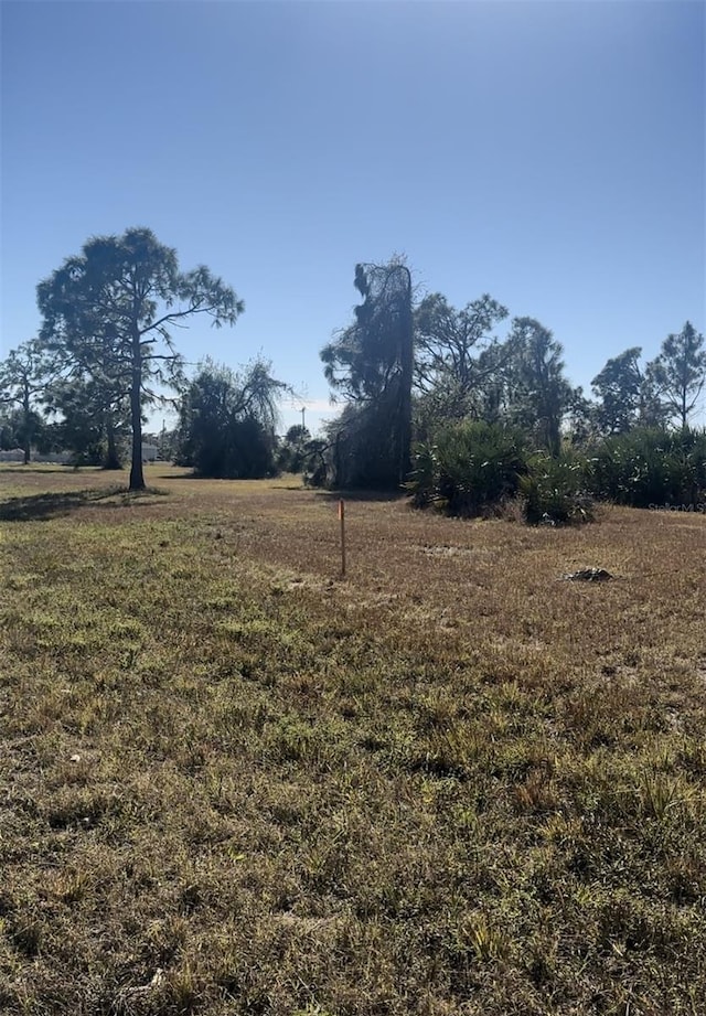 view of yard featuring a rural view