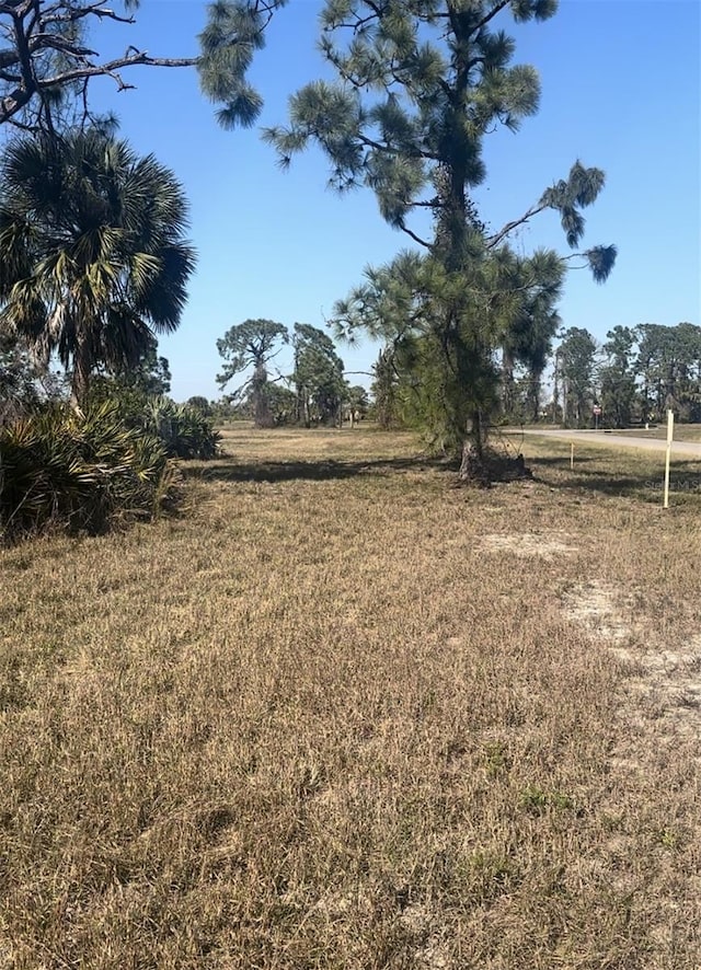 view of landscape with a rural view