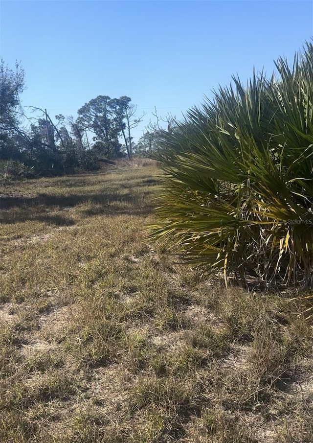 view of local wilderness with a rural view