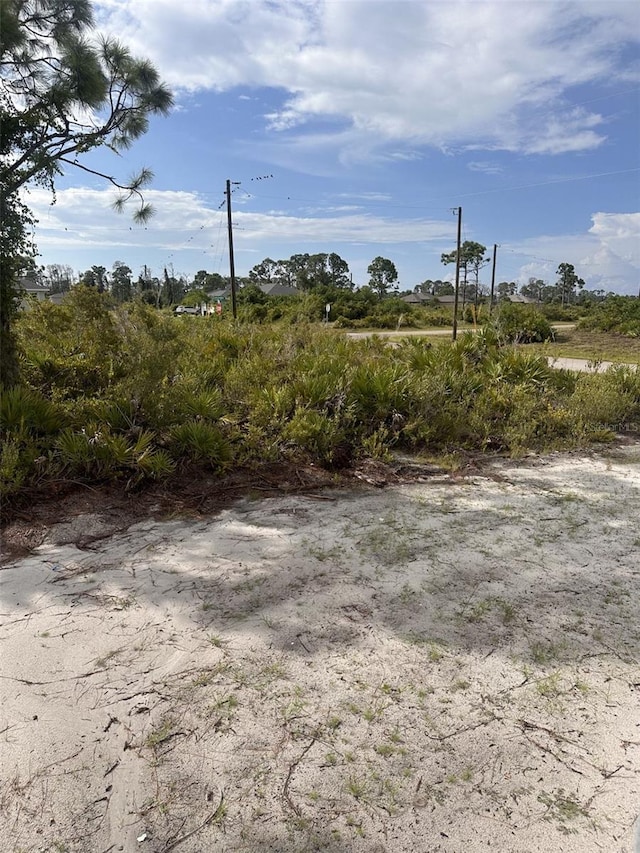 view of local wilderness