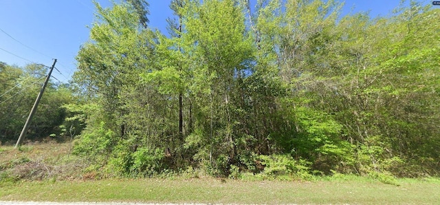 100 W State Line Rd, Century, FL 32535