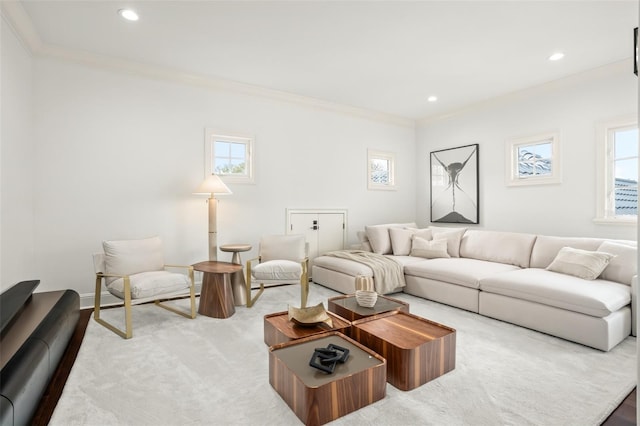 living room featuring ornamental molding