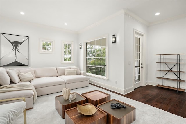 living room with crown molding and hardwood / wood-style floors