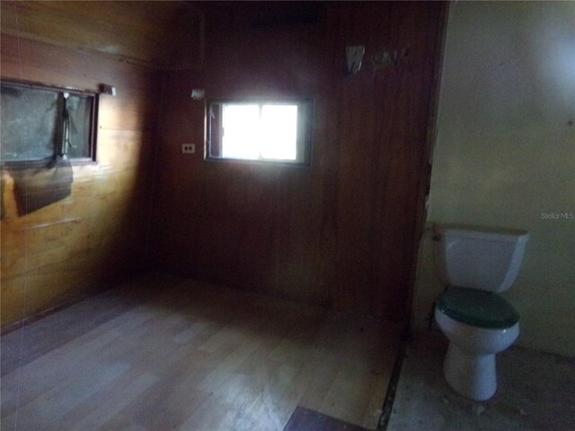 basement featuring wood-type flooring