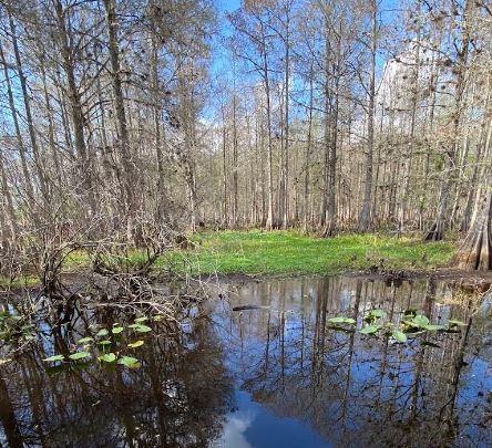 N/A, Lake Wales, FL 33898 - photo 2