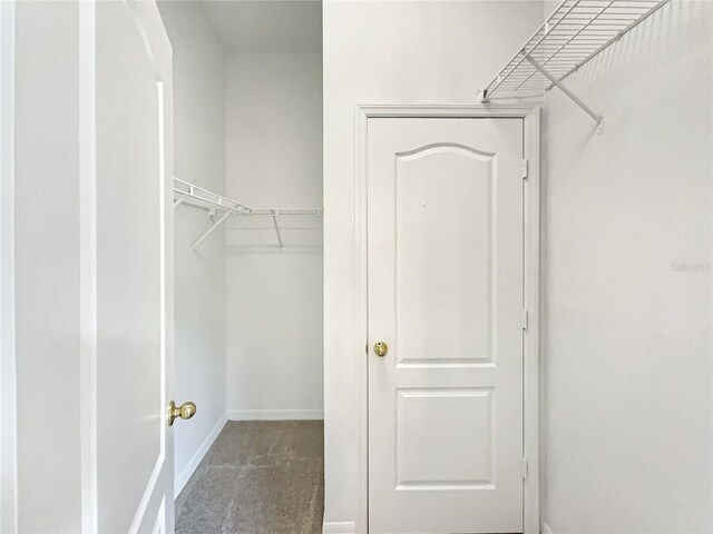 spacious closet with carpet floors