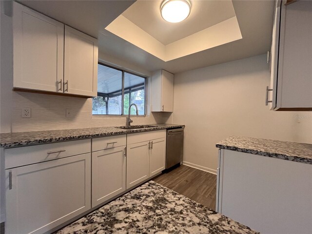 kitchen featuring sink, stainless steel dishwasher, dark hardwood / wood-style flooring, and a raised ceiling