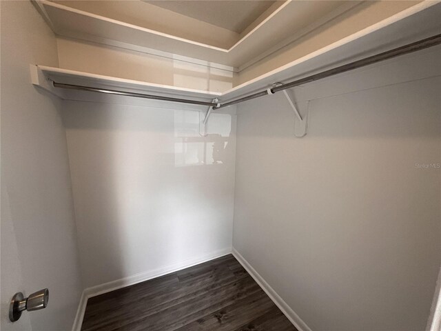 walk in closet featuring dark hardwood / wood-style floors