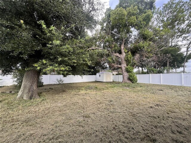 view of yard featuring a storage unit