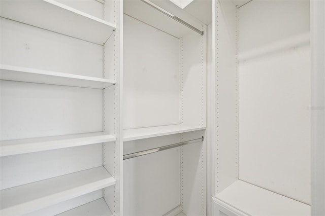 view of walk in closet