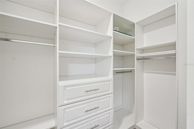 view of walk in closet