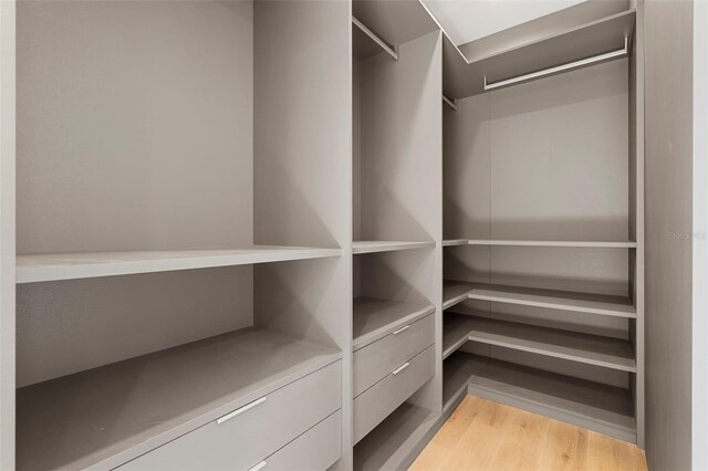 walk in closet featuring light wood-type flooring